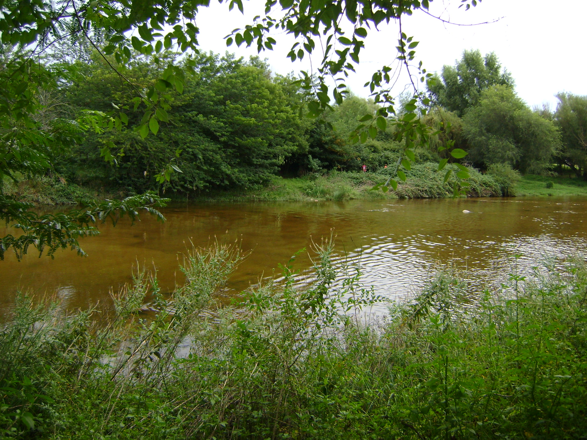 fotos/2011 - Los Reartes/DSC03473.JPG